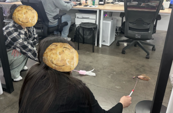 cc6971795998bbb3.png