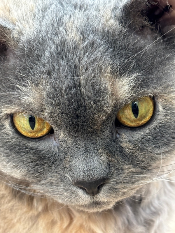 18a85575e388f823.png