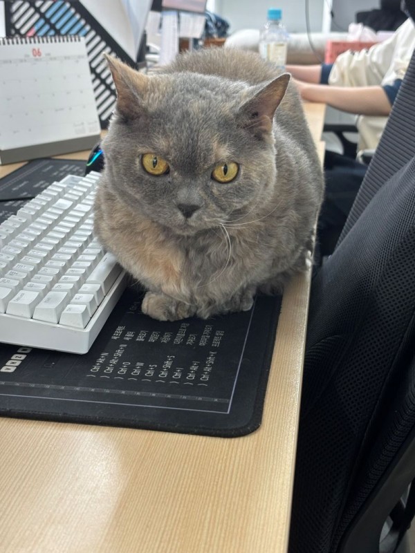 9de3dcdeed802398.jpg