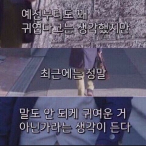 680bd49a2380522ea6ab6ffe88679589_1725974011_0835.jpg