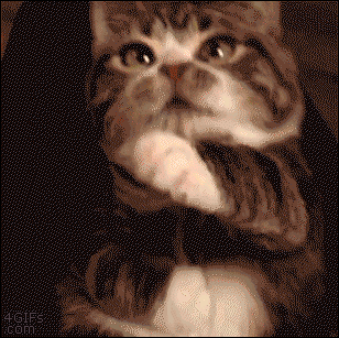 a0d84f15ce4da9891f12803652c707d5_1746778586_1086.gif