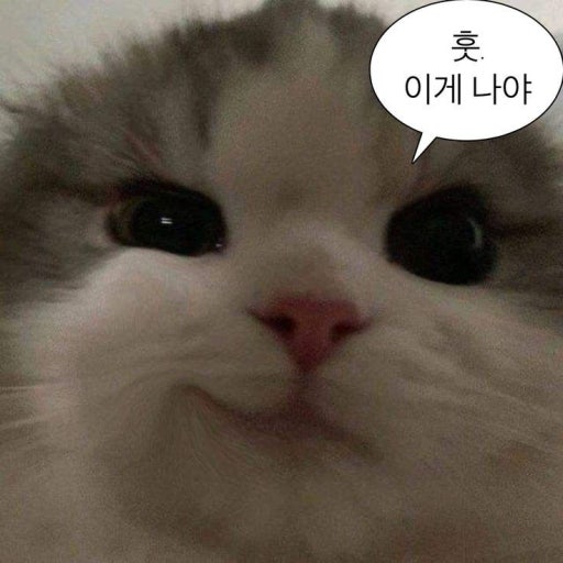 a56a360ea9c292c66f32672171a278cc_1750421992_4942.jpg