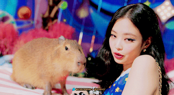 080021555150b7110bc9e524dbc17c2a_1755860545_9929.gif