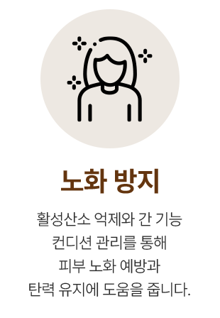 노화 방지