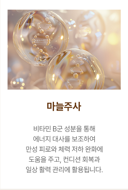 마늘주사