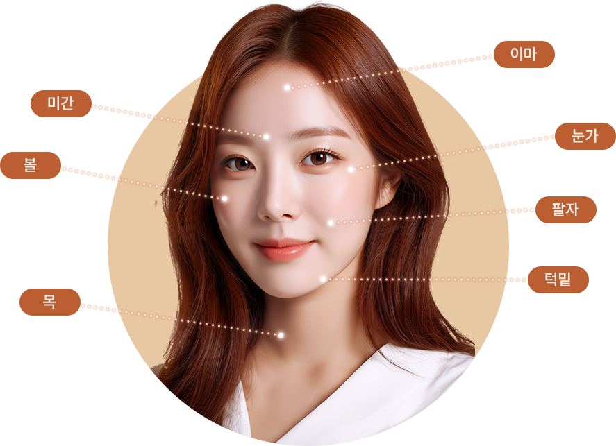 시술 부위 모델