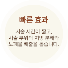 빠른 효과