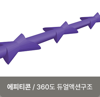 에피티콘