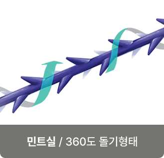 민트실