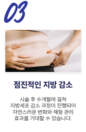 점진적인 지방 감소