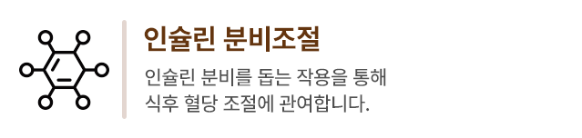 인슐린 분비조절