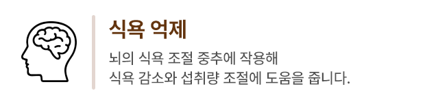 식욕 억제